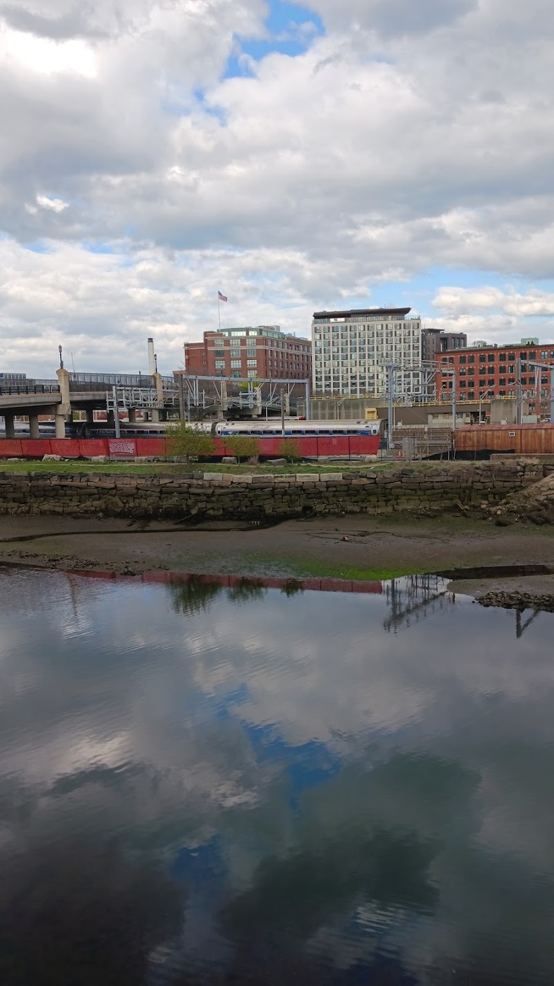 boston-massachusetts-the-underground-dog-park-4