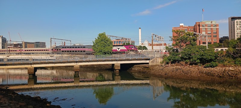 boston-massachusetts-the-underground-dog-park-7