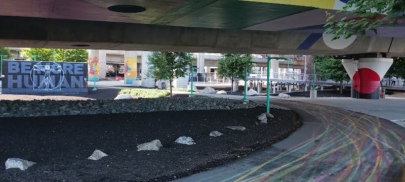 boston-massachusetts-the-underground-dog-park-8