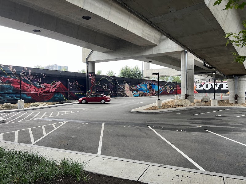 boston-massachusetts-the-underground-dog-park-9
