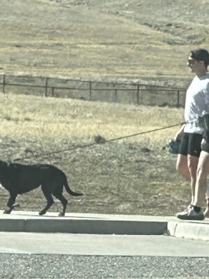 Foothills dog park