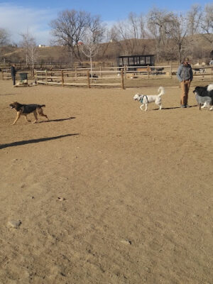 Valmont Dog Park