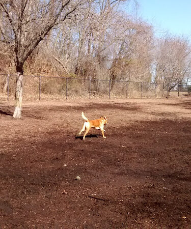 Bowie Dog Park