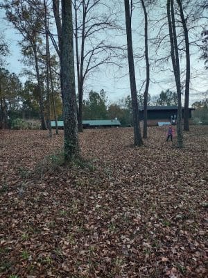 Bowman Nature Park