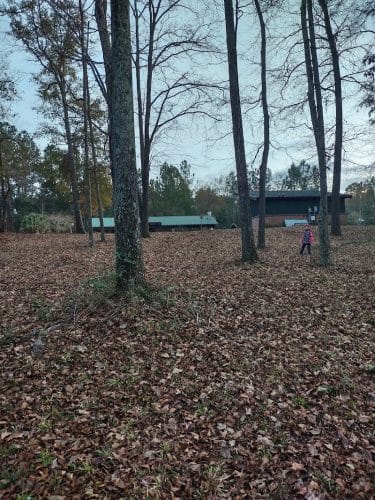 Bowman Nature Park