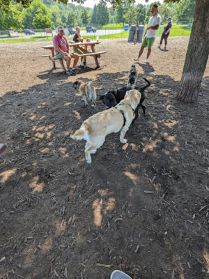 Doggie Dugout-Registration Required