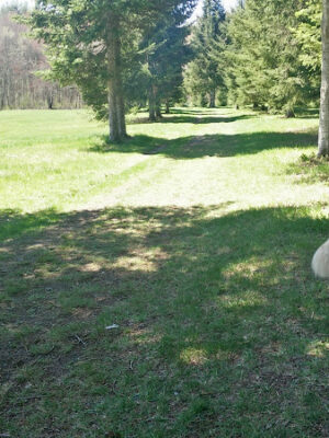 Beaver Brook Meadow / Steele Farm