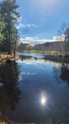 Pettingell Park