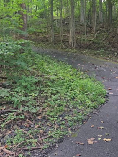 Earl Township Park - Boyertown, PA