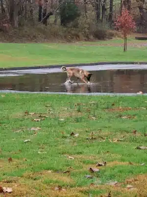 Ironstone Park