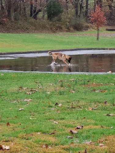 Ironstone Park