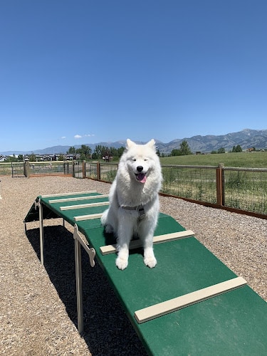 Dog Park At Gallatin County Regional Park (13 Acre w Pond)