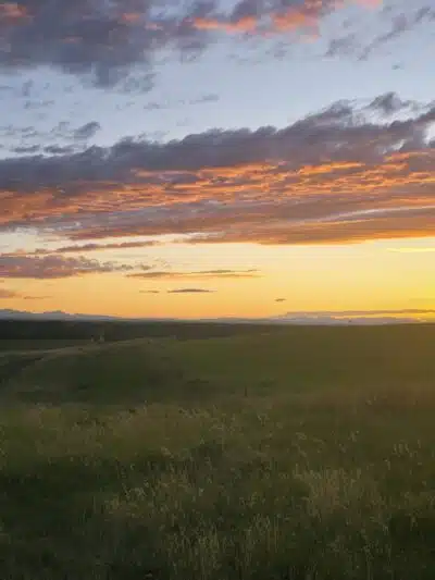 Snowfill - Bozeman, MT