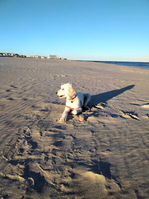 Bradley Beach