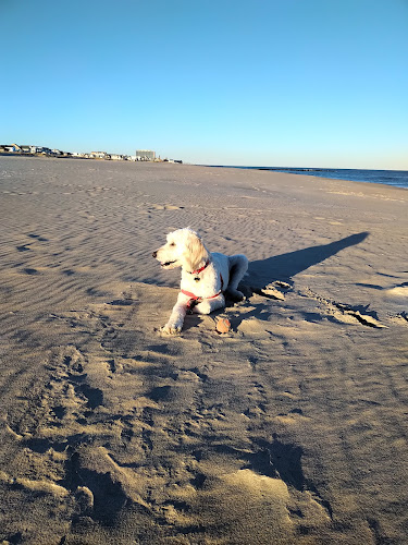 Bradley Beach