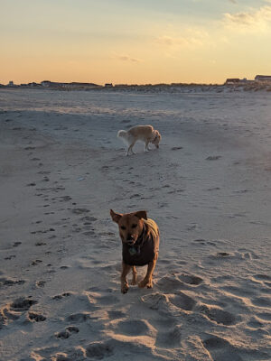 Fourth Avenue Beach