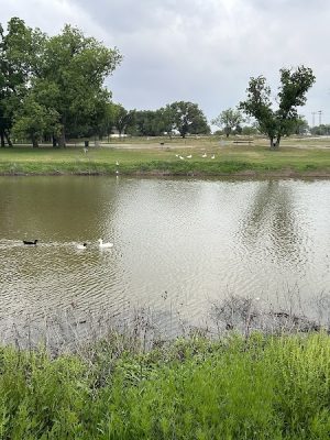 Brady Creek Park