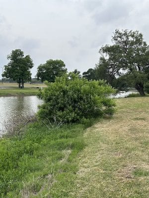 Brady Creek Park