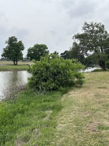 Brady Creek Park