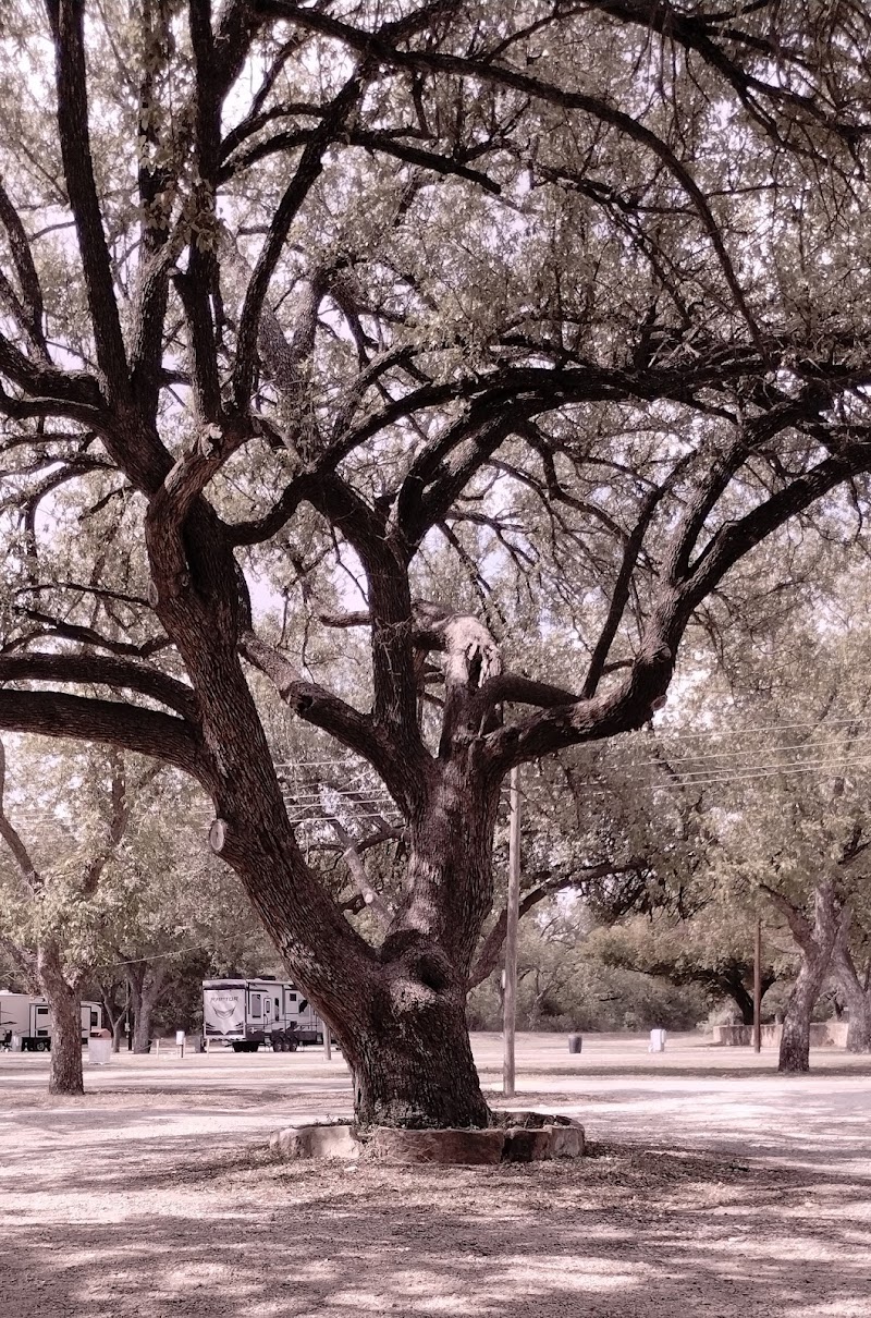 Brady Creek Park - Brady, TX