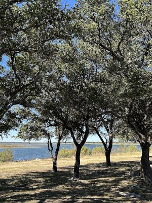 Brady Lake Park