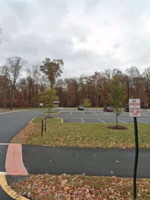 Hal and Bernie dog park