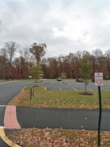 Hal and Bernie dog park