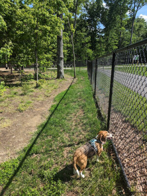 Hal & Berni Hanson Park Wooded Dog Park Off-Leash Area