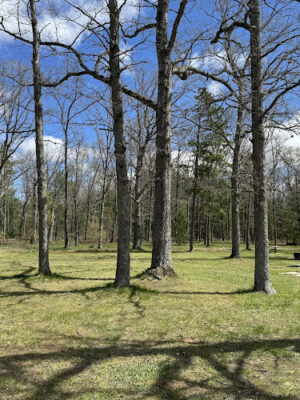 Baldwin Roadside Park MDOT