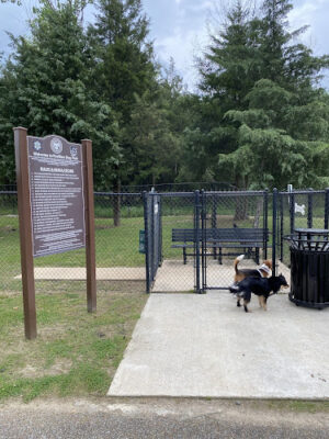 Pavilion Dog Park