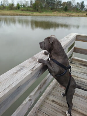 North Keys Community Park