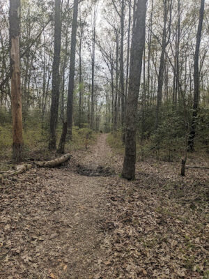 Orange Trailhead