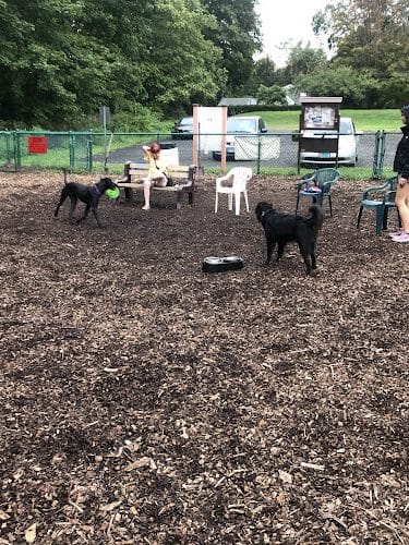 Short Beach Dog Park