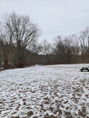 Youngs Pond Dog Run