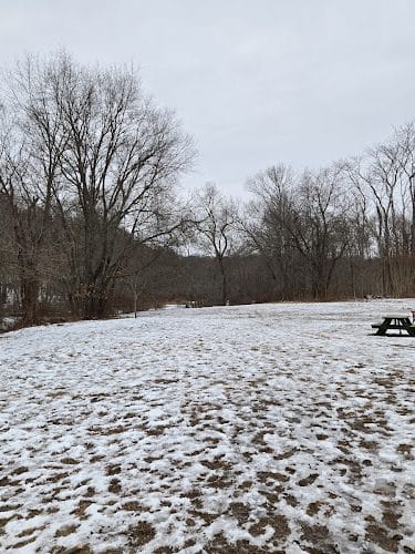 Youngs Pond Dog Run