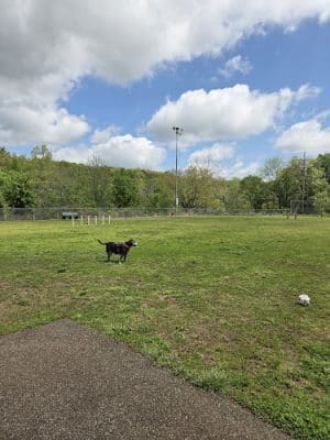 Elmo & Rosalea Marrs Memorial Dog Park - Branson, MO