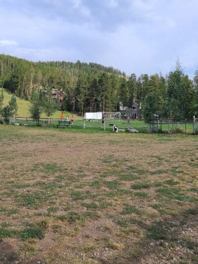 Carter Dog Park - Breckenridge, CO