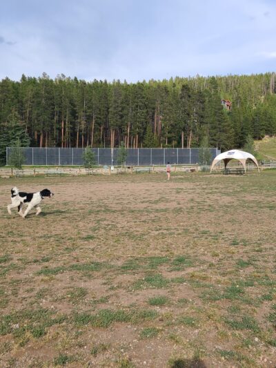 Carter Dog Park - Breckenridge, CO