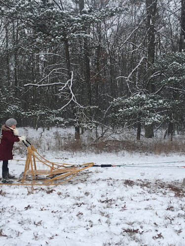 Wilderness Adventures Kennel