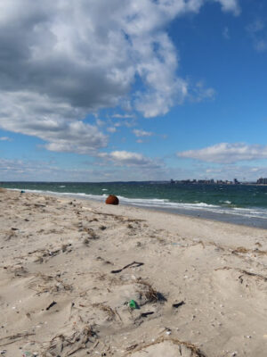 Breezy Point Tip