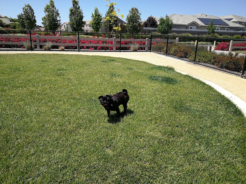 Dakota (Dog) Park - Brentwood, CA