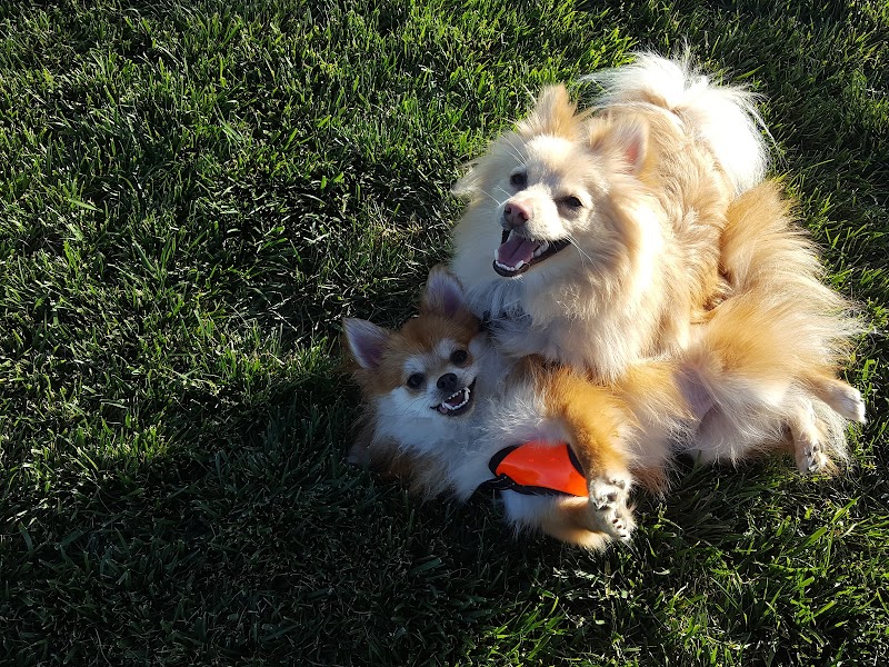 Dakota (Dog) Park - Brentwood, CA