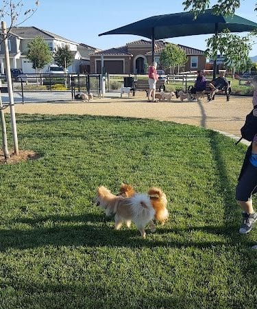 Dakota (Dog) Park - Brentwood, CA