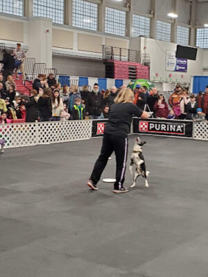 Long Island Pet Expo
