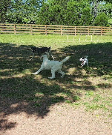 Miss Peggy's Bark Park (formerly Barkwood Dog Park)