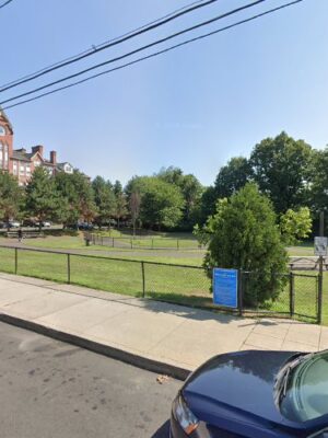 Alice Street Dog Run