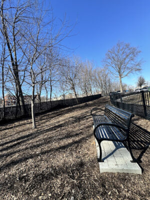 Bridgeport Dog Park