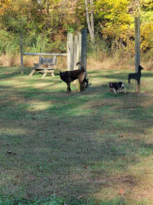 Bridgeport Bark Park