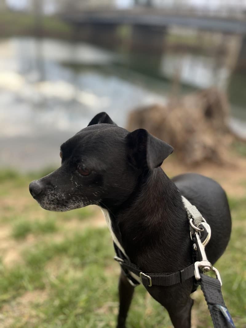 bridgewater-virginia-bridgeview-park-4
