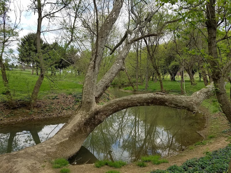 bridgewater-virginia-cook-s-creek-arboretum-2